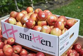Apple Smitten 1kg