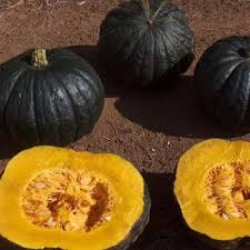 Supermarket Squash -Whole