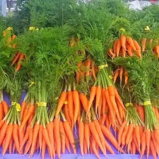 Spring Carrots