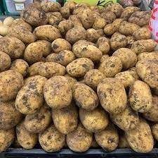Potatoes - New Season Brushed Rocket 1kg