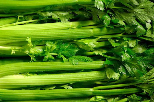 Celery- Whole