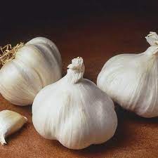 Garlic - Bulb 500g